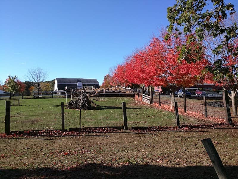 Brooksby Farm - Image 2