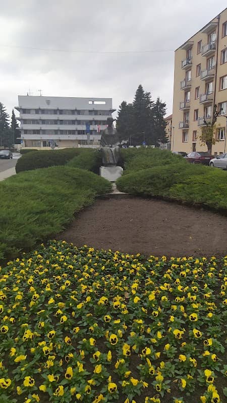 Socha Živena - Image 1