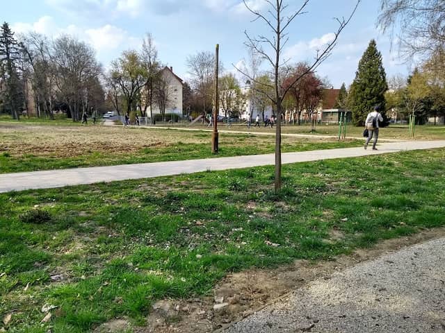 Vizslaparki ut - Image 1