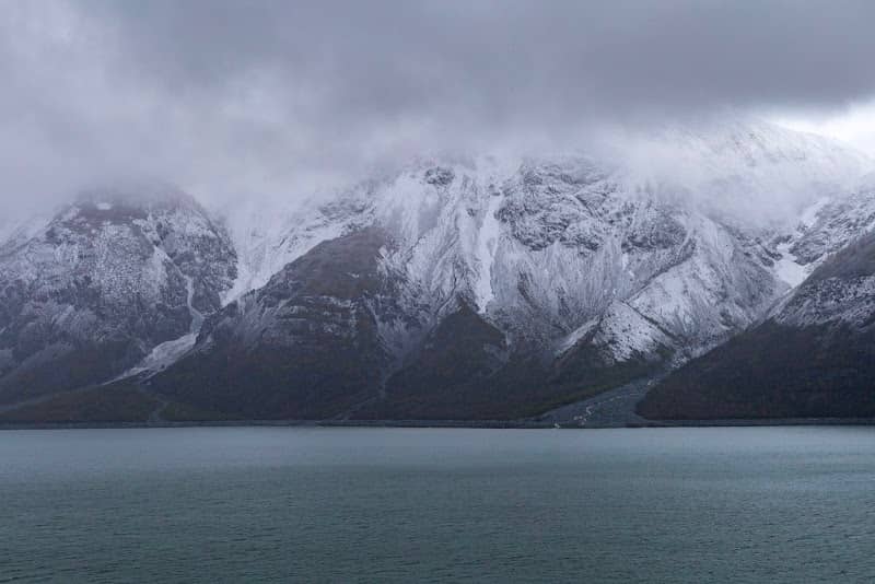 Glacier Bay Wilderness - Image 3