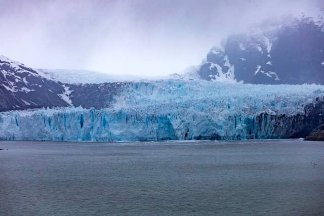 Glacier Bay Wilderness - Image 1