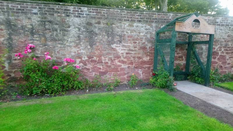 Springfield Park Rose Garden - Image 2