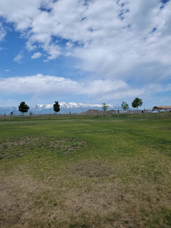 Blacksmith Fork Dog Park - Image 1