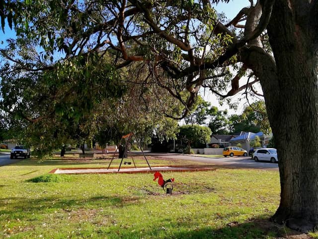 Hodgson Place Park - Image 1