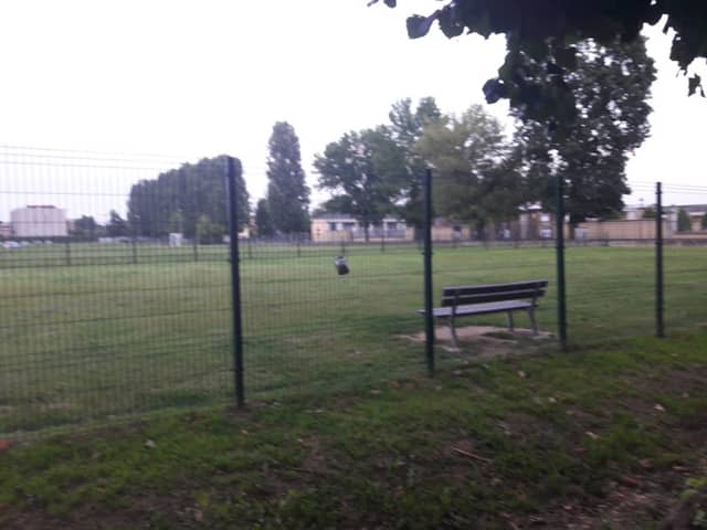 Parco per cani - Image 1