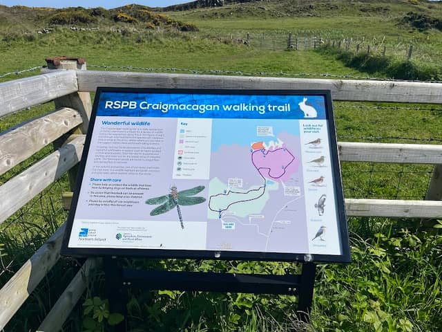 RSPB Craigmacagan Walk - Image 2