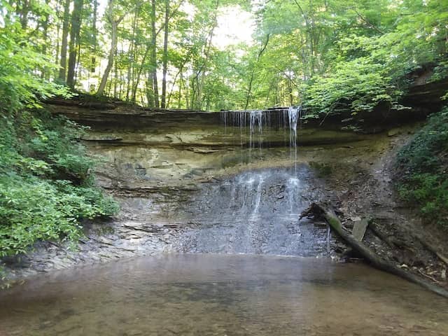 Salamonie River State Forest - Image 1