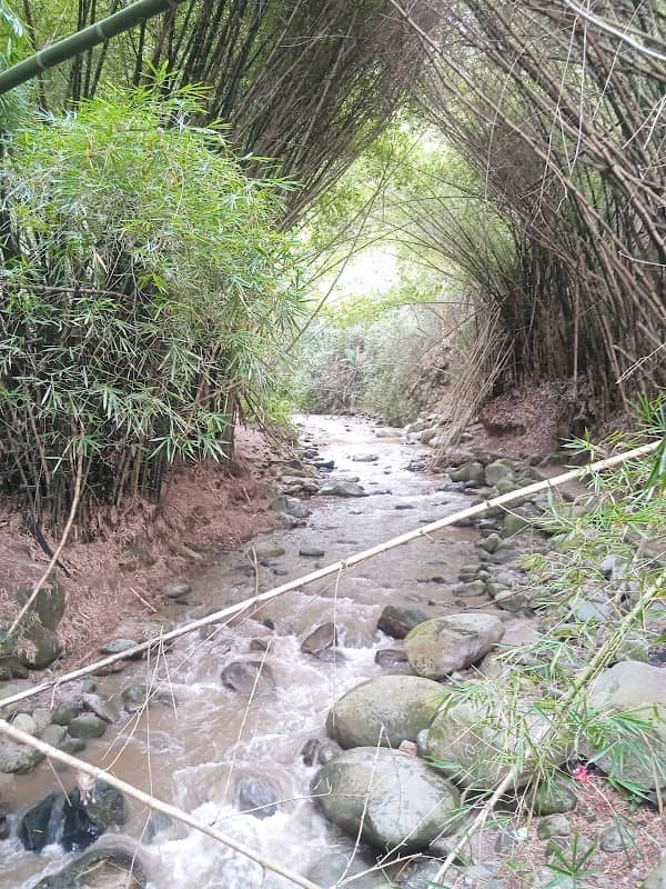 Paseo de olla - Image 2