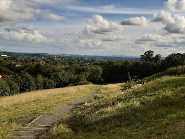 Barrow Hill Local Nature Reserve - Image 1