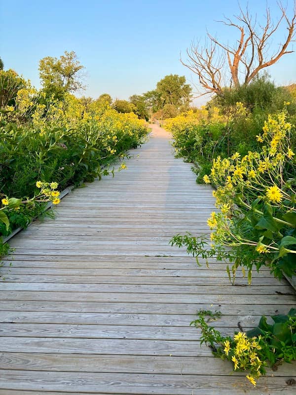 H.M. Zander Community Nature Park - Image 1