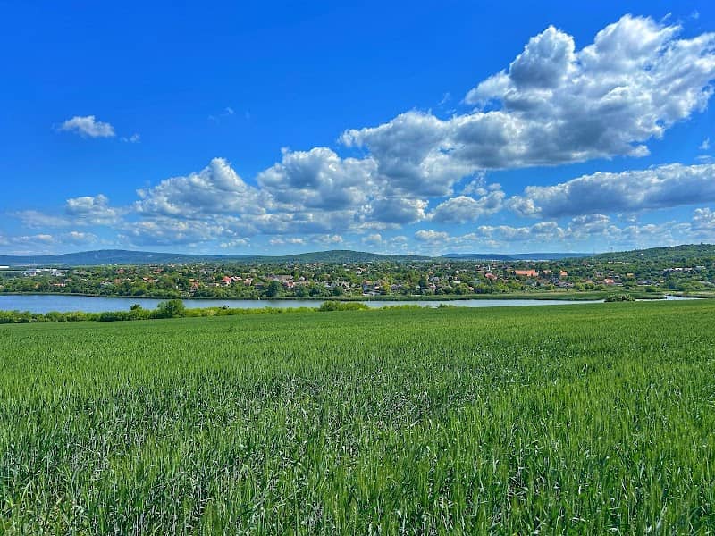 Kilátópont - Image 1