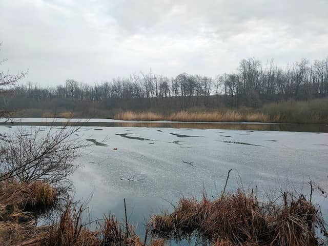 Oasi WWF del Bassone - Image 2