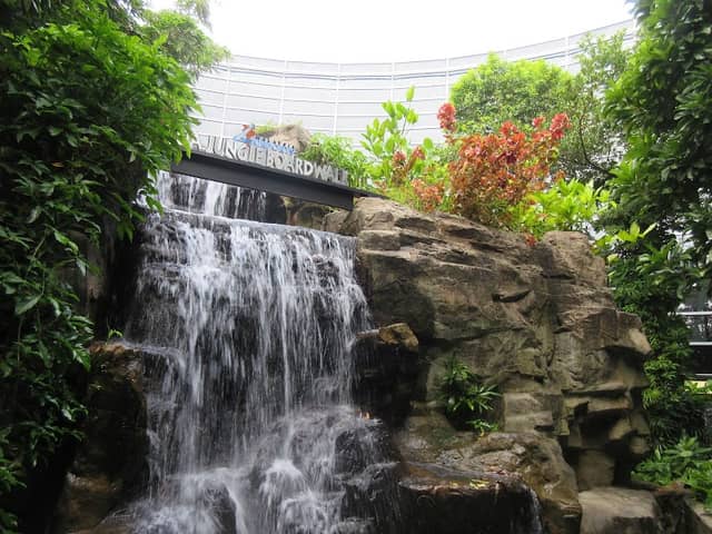 KLIA Jungle Boardwalk - Image 1