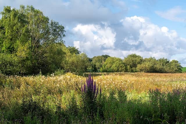 Fairfield Nature Reserve - Image 2