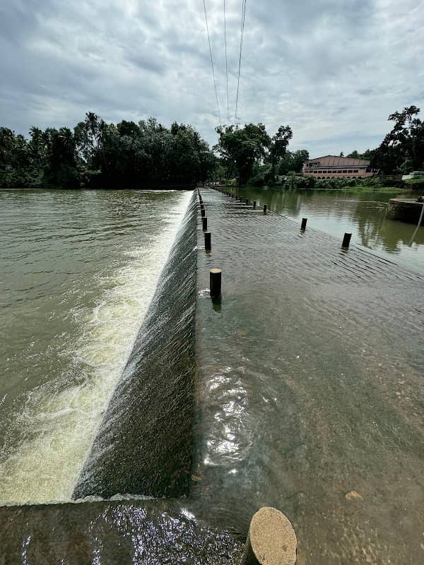 Kuzhithurai Dam - Image 1