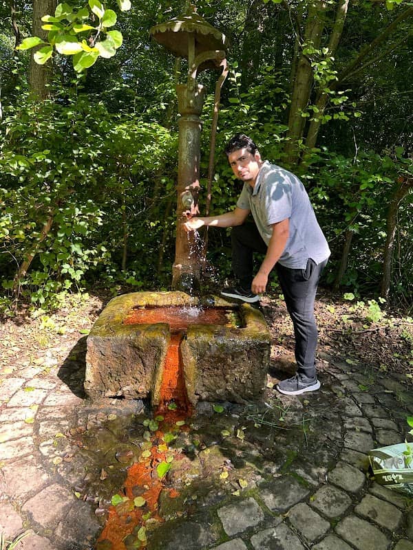 Mineralwasser Quelle Dammenmühle - Image 1