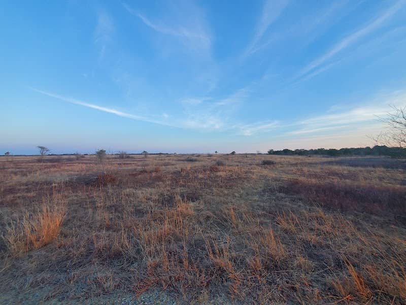Katama Plains Wildlife Management Area - Image 1