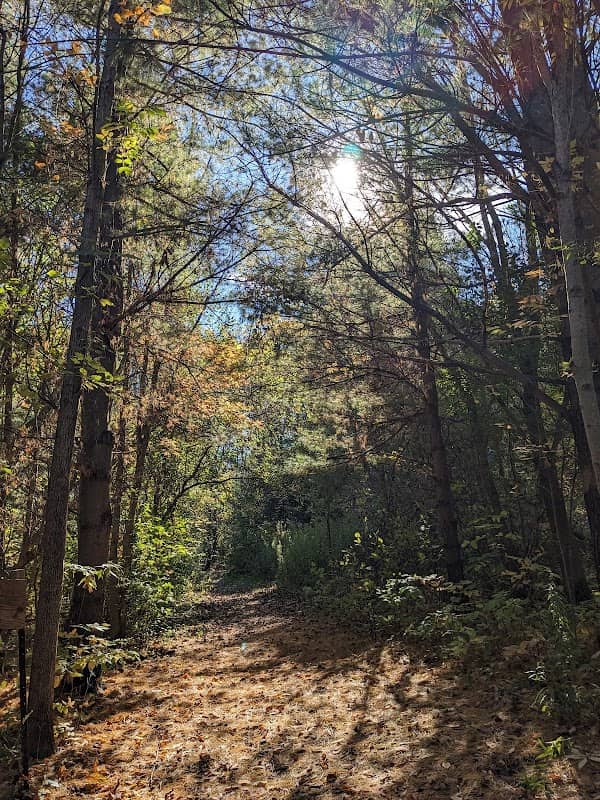 Scanlon Creek Conservation Area parking - Image 1