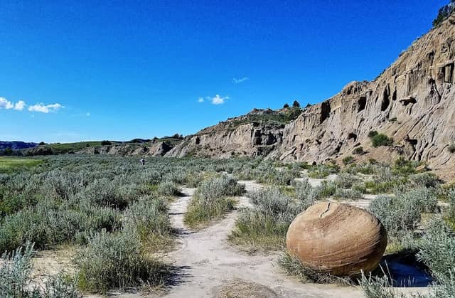 Cannonball Concretions Pullout - Image 2