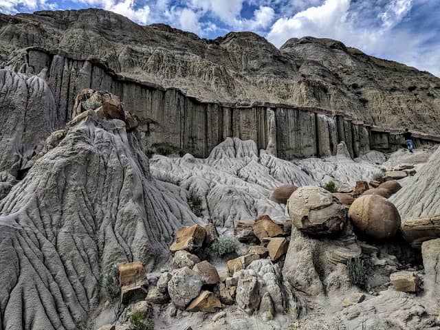 Cannonball Concretions Pullout - Image 1