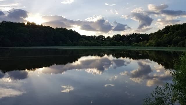 Long Mill Pond - Image 1