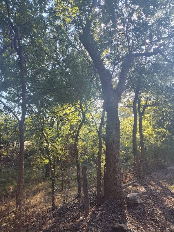 Risien Park - Image 2