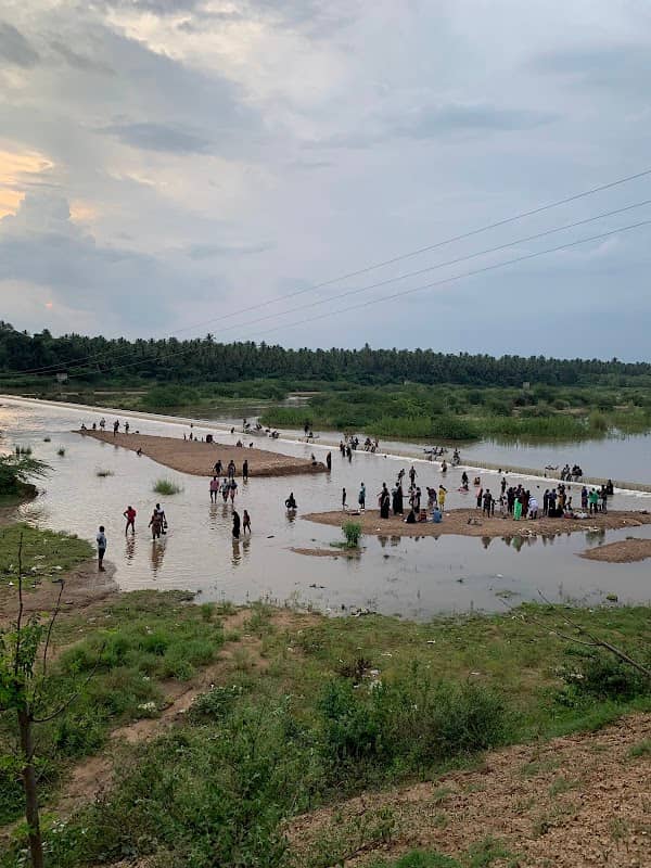 Thiruvedagam Vaigai River Check Dam - Image 2