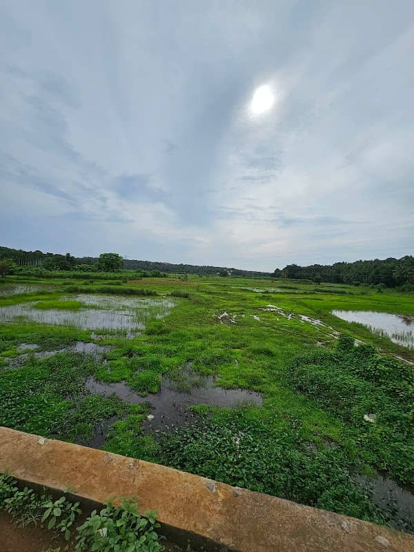 Atteeri View Point and chirakkal padam - Image 1