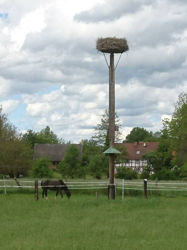 Storchennest - Image 1