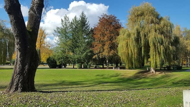 Sunny park - Image 1