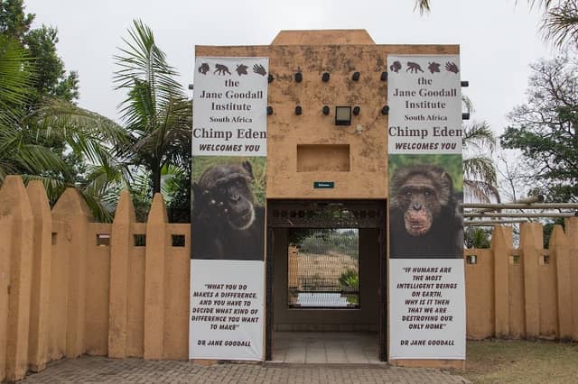 Chimp Eden - Image 2