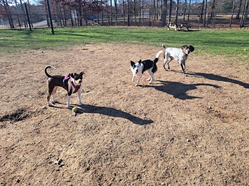 Bark Park - Image 1