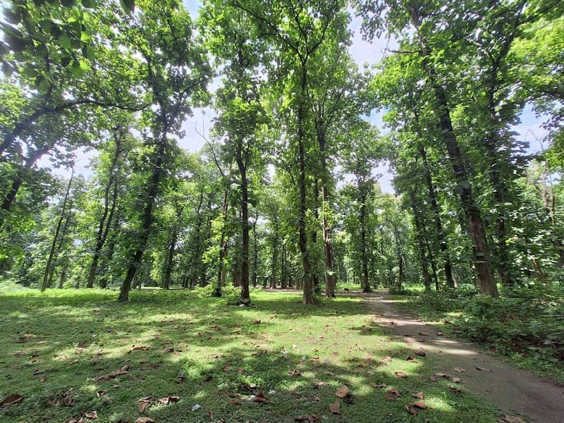 Sal Bagan Park - Image 1