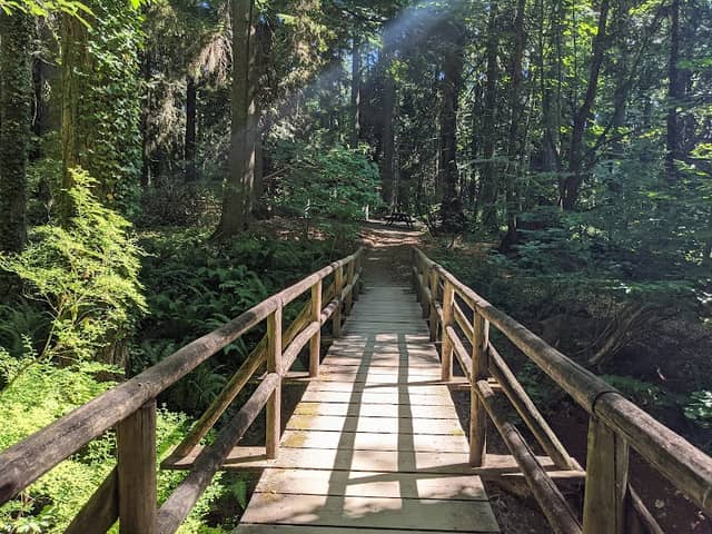 Squaxin Park - Image 1