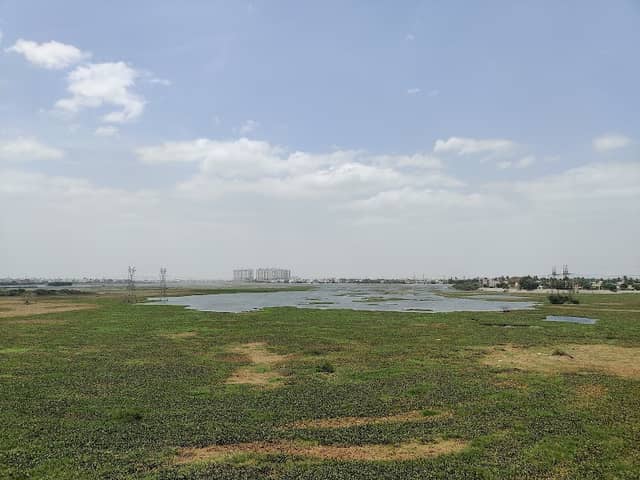 Korattur Lake - Image 2
