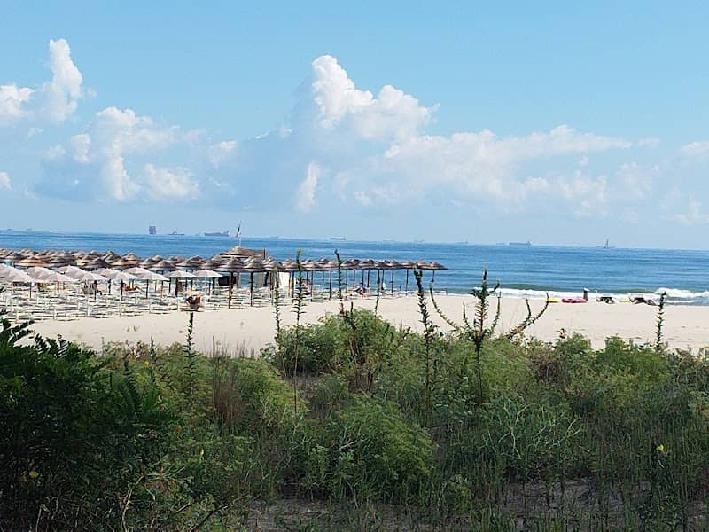 Parco marittimo di Marina di Ravenna - Image 1