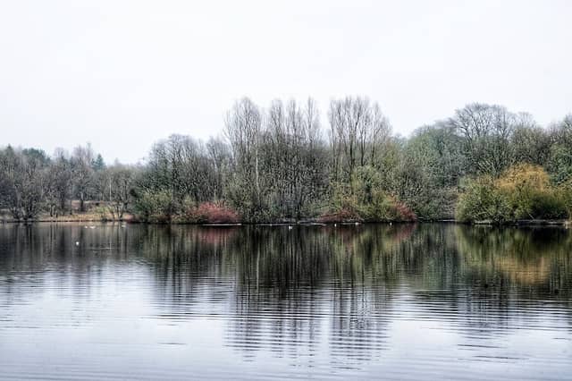 Brun Valley Forest Park - Image 1