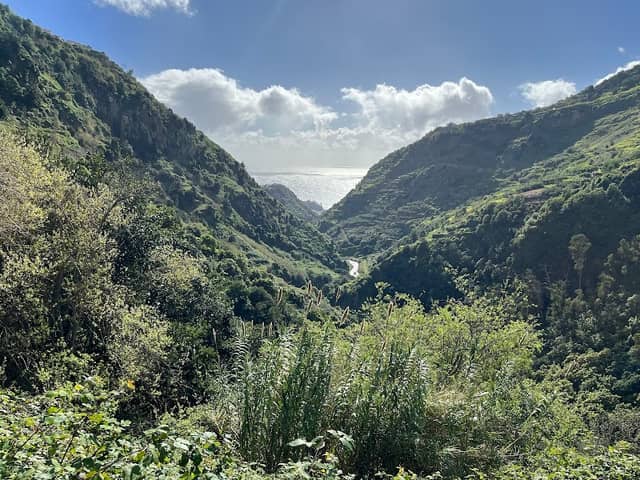 Levada do Moinho - Image 3