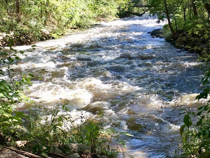 Harrison Picnic Grounds - Image 1
