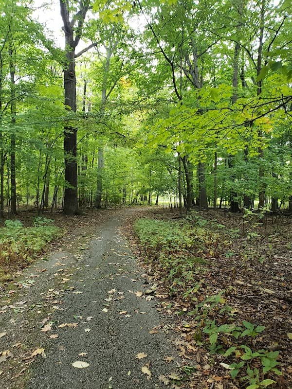 Forest Hill Park - Image 1