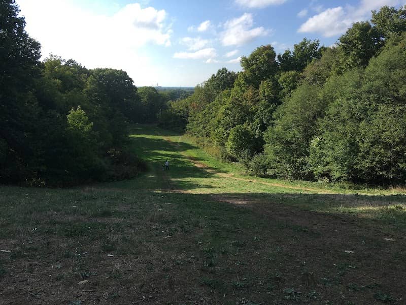 Forest Hill Park - Image 2