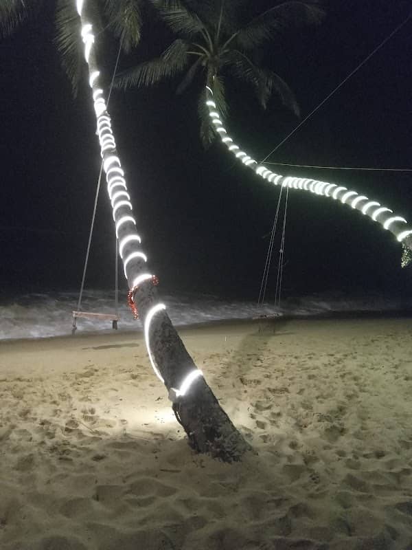 Twin Coconut Tree Swing - Image 2