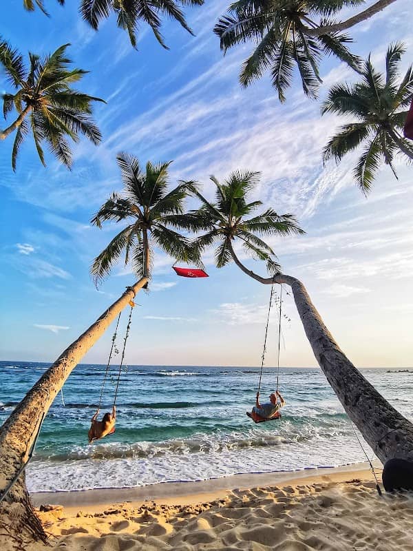 Twin Coconut Tree Swing - Image 1