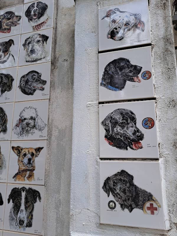 Il Muretto dei Cani - Image 2