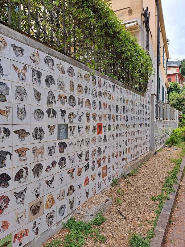 Il Muretto dei Cani - Image 1