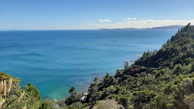 Monty's View - Image 1