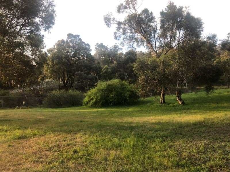 Dryandra Park - Image 3