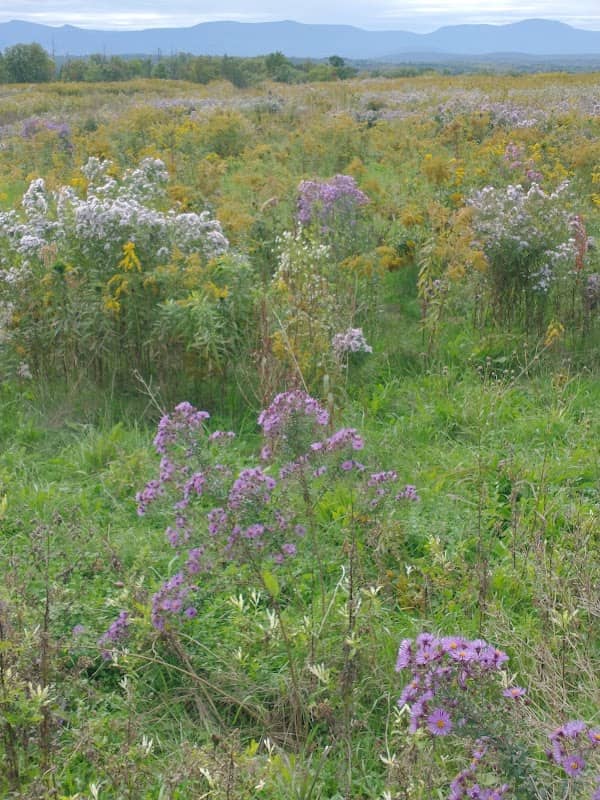 Stockport-Greenport Trail - Image 1