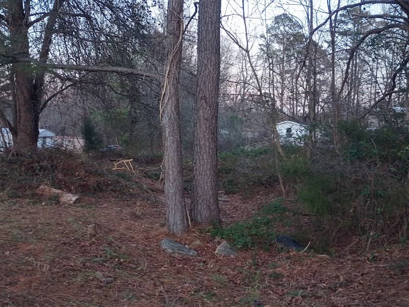 The Tree Fort - Image 1