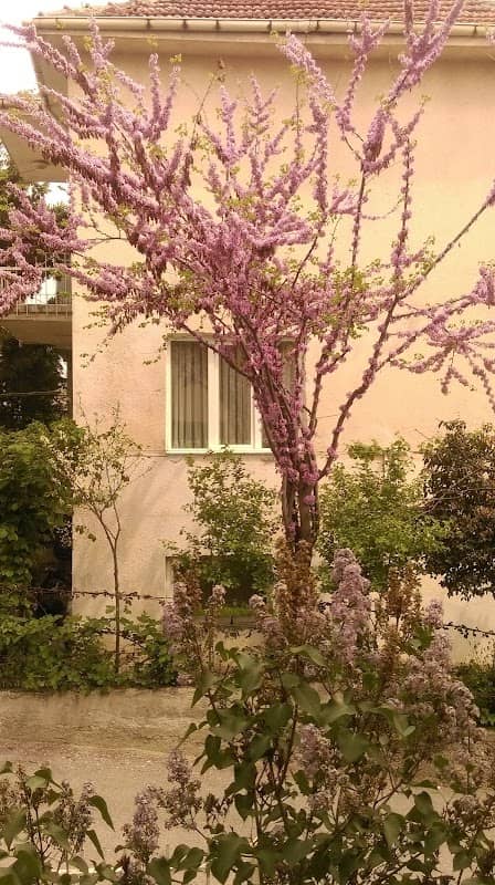 Açelya Çocuk Parkı - Image 1